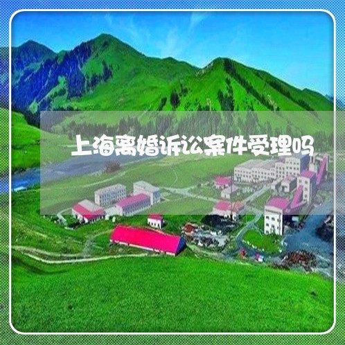 上海离婚诉讼案件受理吗/2023021728269 上海离婚诉讼案件受理吗/2023021728269