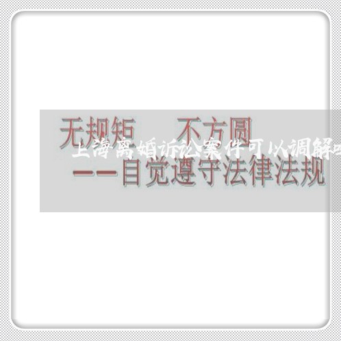 上海离婚诉讼案件可以调解吗/2023032403836 上海离婚诉讼案件可以调解吗/2023032403836