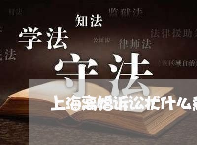 上海离婚诉讼状什么意思/2023021738380