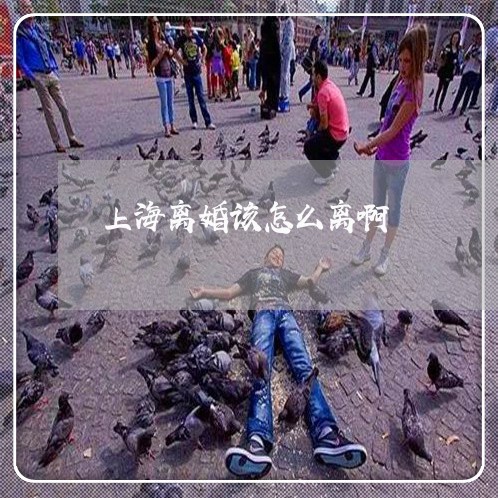上海离婚该怎么离啊/2023032603693 上海离婚该怎么离啊/2023032603693