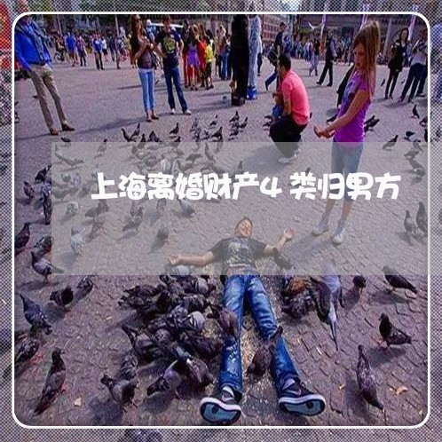 上海离婚财产4类归男方/2023021789514