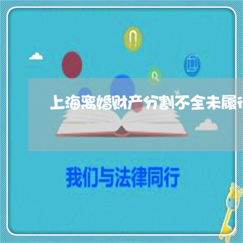 上海离婚财产分割不全未履行/2023032325036 上海离婚财产分割不全未履行/2023032325036
