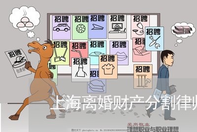 上海离婚财产分割律师事务所/2023032348057 上海离婚财产分割律师事务所/2023032348057