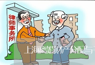 上海离婚财产分配与子女抚养/2023032340472