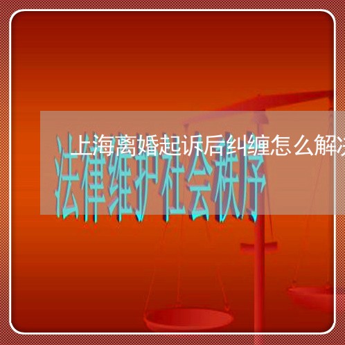 上海离婚起诉后纠缠怎么解决/2023032339372