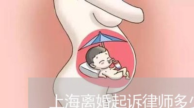 上海离婚起诉律师多少钱/2023041289492