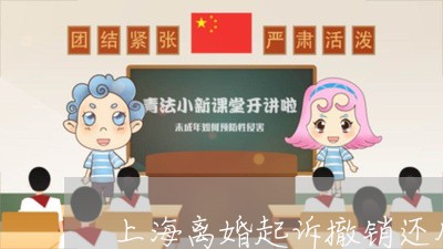 上海离婚起诉撤销还用钱吗/2023032152693