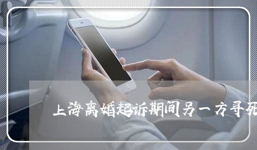 上海离婚起诉期间另一方寻死/2023032404936