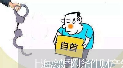 上海离婚附条件财产分割/2023041220272