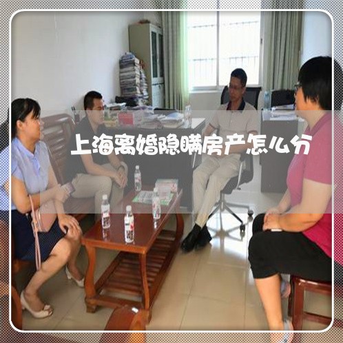 上海离婚隐瞒房产怎么分/2023021739572 上海离婚隐瞒房产怎么分/2023021739572