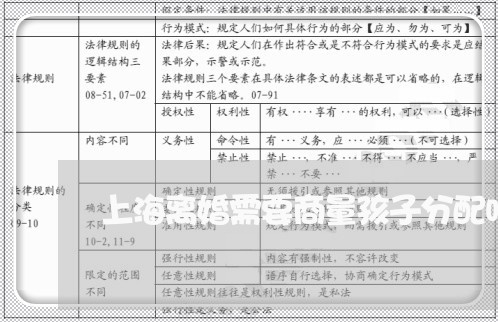上海离婚需要商量孩子分配吗/2023032427159 上海离婚需要商量孩子分配吗/2023032427159