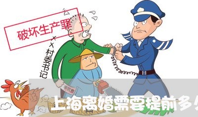 上海离婚需要提前多久去/2023021749482 上海离婚需要提前多久去/2023021749482