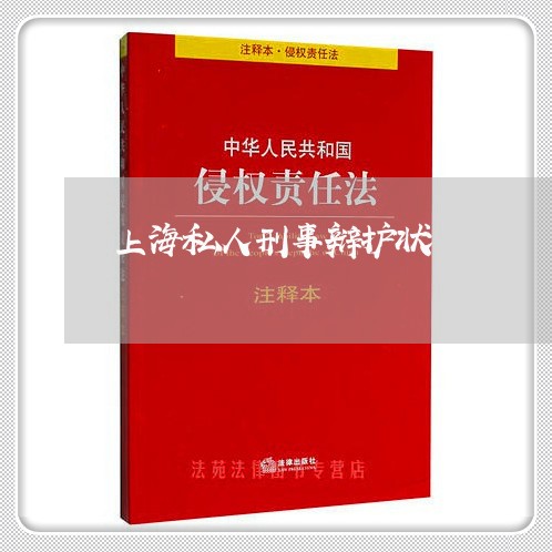 上海私人刑事辩护状/2023032627383