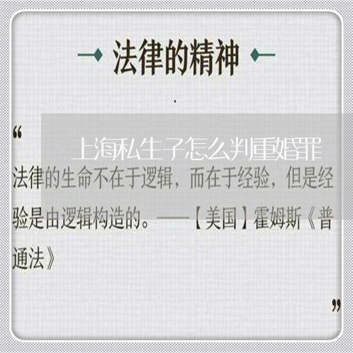 上海私生子怎么判重婚罪/2023041228370 上海私生子怎么判重婚罪/2023041228370