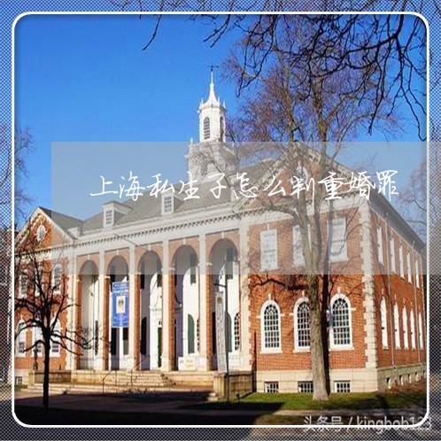 上海私生子怎么判重婚罪/2023041249359 上海私生子怎么判重婚罪/2023041249359