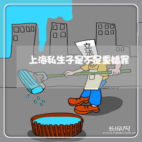 上海私生子是不是重婚罪/2023021737150