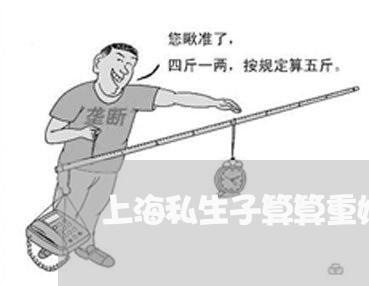 上海私生子算算重婚罪吗/2023021795936