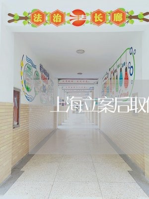 上海立案后取保候审可以结案吗/2023042173706