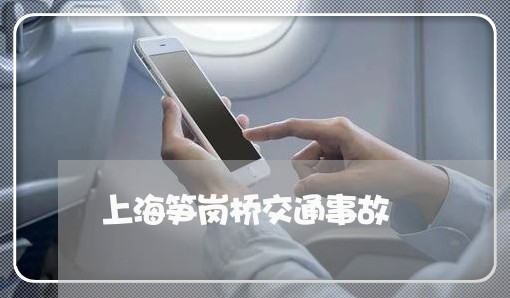 上海笋岗桥交通事故/2023032549516 上海笋岗桥交通事故/2023032549516