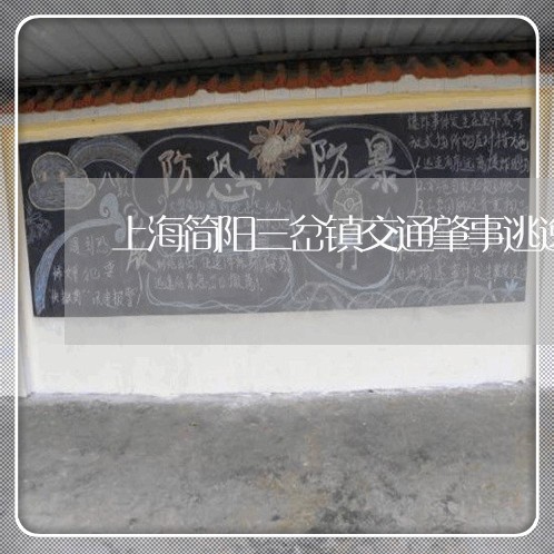 上海简阳三岔镇交通肇事逃逸/2023032449027