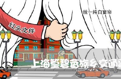 上海篁碧畲族乡交通事故/2023021872828 上海篁碧畲族乡交通事故/2023021872828