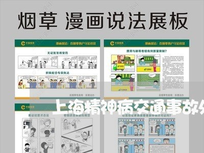 上海精神病交通事故处理/2023021846258 上海精神病交通事故处理/2023021846258