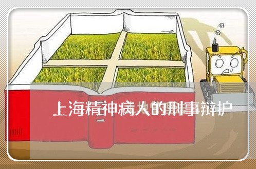 上海精神病人的刑事辩护/2023021848483 上海精神病人的刑事辩护/2023021848483