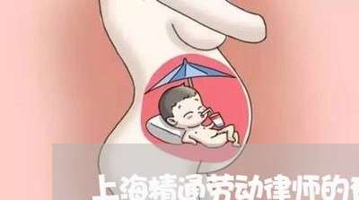 上海精通劳动律师的有吗/2023021842504 上海精通劳动律师的有吗/2023021842504