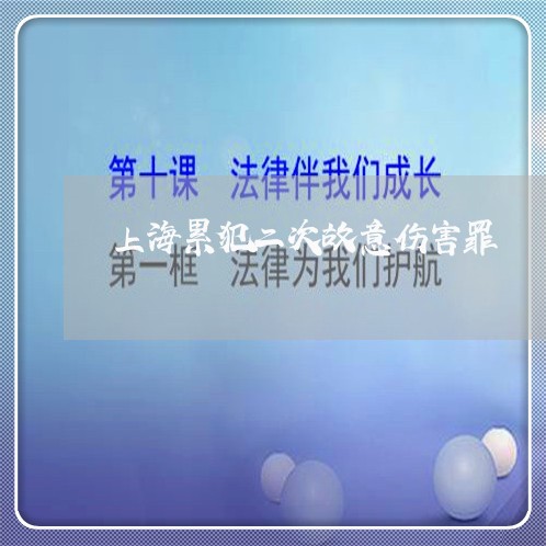 上海累犯二次故意伤害罪/2023021894815