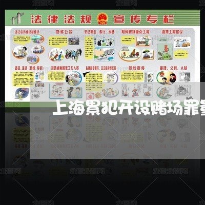 上海累犯开设赌场罪量刑标准/2023032483817