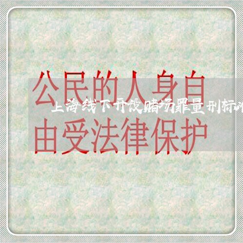 上海线下开设赌场罪量刑标准/2023032426938