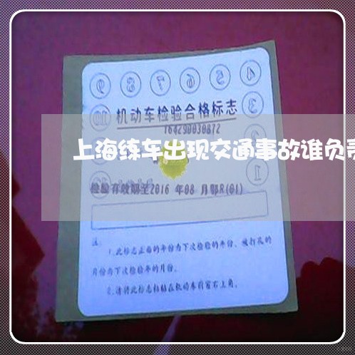 上海练车出现交通事故谁负责/2023032412739 上海练车出现交通事故谁负责/2023032412739