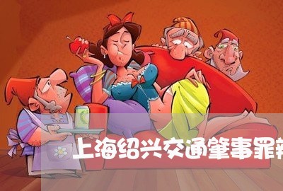 上海绍兴交通肇事罪辩护律师/2023032458260