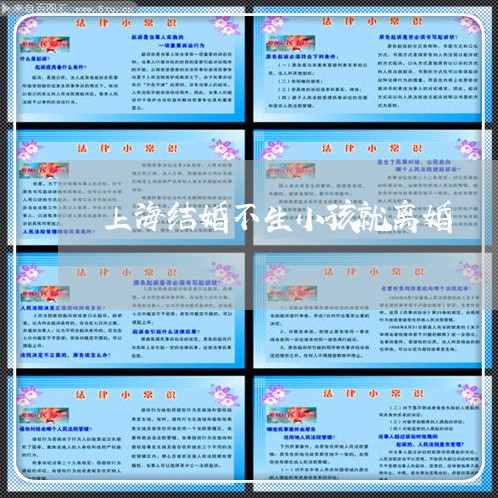 上海结婚不生小孩就离婚/2023041386919