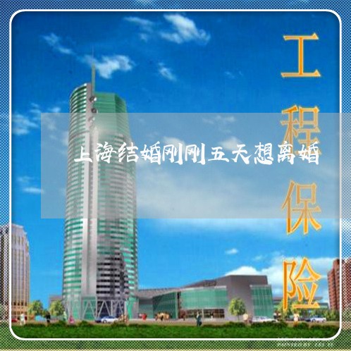 上海结婚刚刚五天想离婚/2023041395946