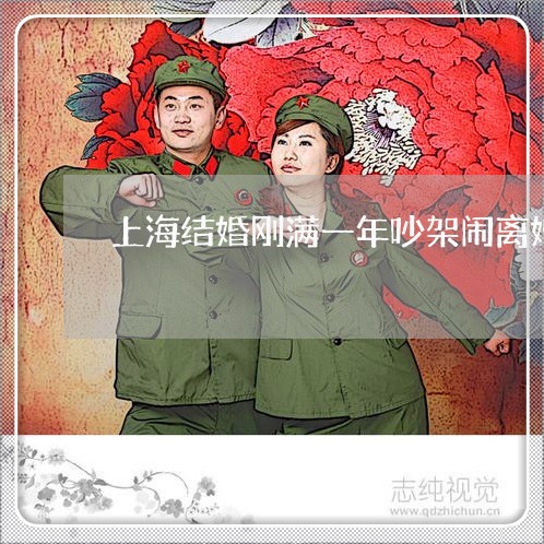 上海结婚刚满一年吵架闹离婚/2023032461505