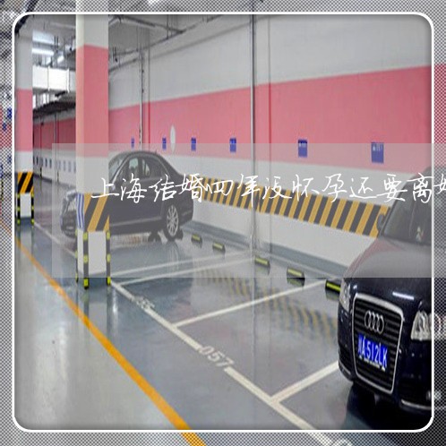 上海结婚四年没怀孕还要离婚/2023032393605