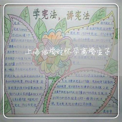 上海结婚时怀孕离婚生子/2023041264150