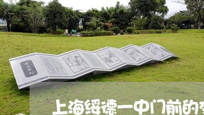 上海绥德一中门前的交通事故/2023032342483 上海绥德一中门前的交通事故/2023032342483