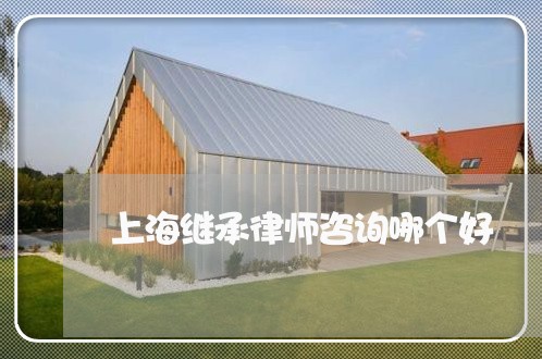 上海继承律师咨询哪个好/2023021773806 上海继承律师咨询哪个好/2023021773806