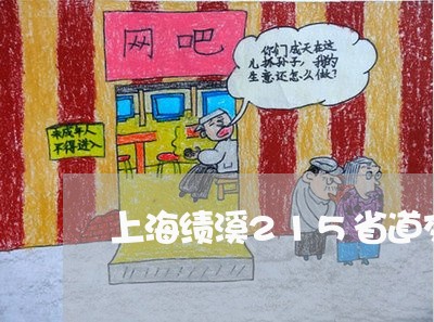 上海绩溪215省道交通事故/2023032305126 上海绩溪215省道交通事故/2023032305126