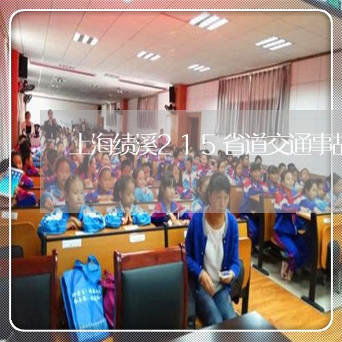 上海绩溪215省道交通事故/2023032350604 上海绩溪215省道交通事故/2023032350604