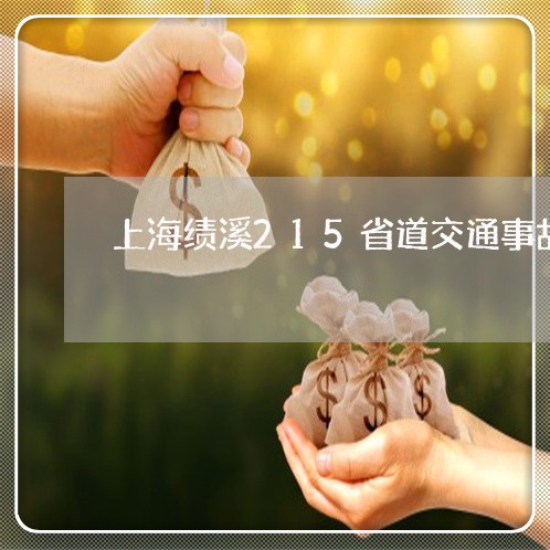 上海绩溪215省道交通事故/2023032383047 上海绩溪215省道交通事故/2023032383047