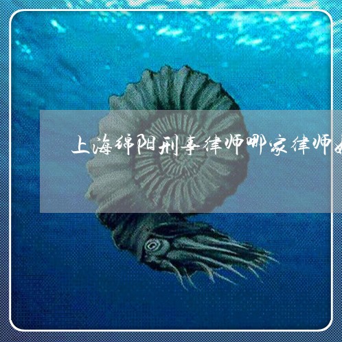 上海绵阳刑事律师哪家律师好/2023032326049