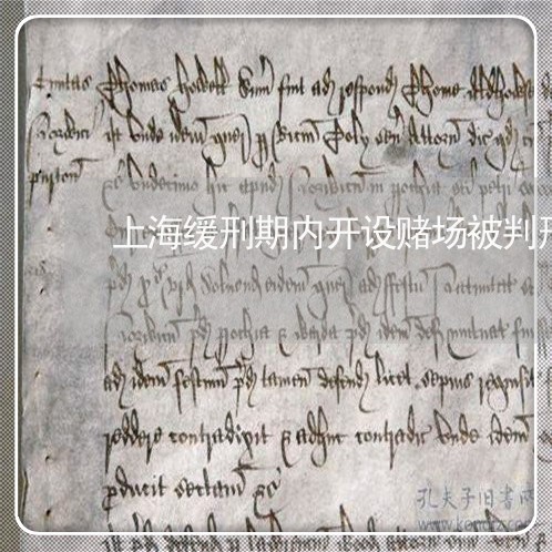 上海缓刑期内开设赌场被判刑/2023032329269 上海缓刑期内开设赌场被判刑/2023032329269