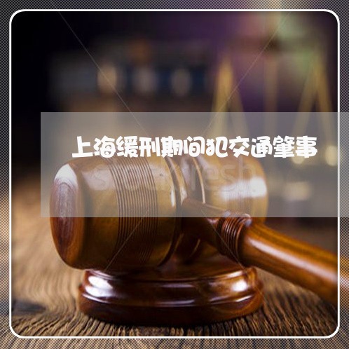 上海缓刑期间犯交通肇事/2023021748270 上海缓刑期间犯交通肇事/2023021748270