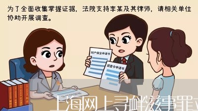 上海网上寻衅滋事罪立案标准/2023032311582