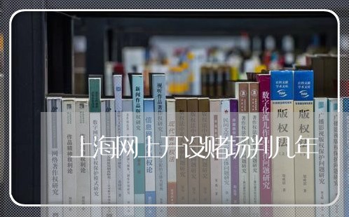 上海网上开设赌场判几年/2023021784724 上海网上开设赌场判几年/2023021784724