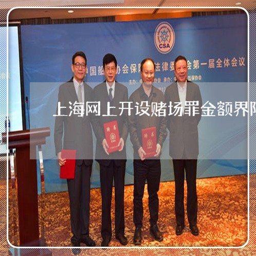 上海网上开设赌场罪金额界限/2023032306747 上海网上开设赌场罪金额界限/2023032306747