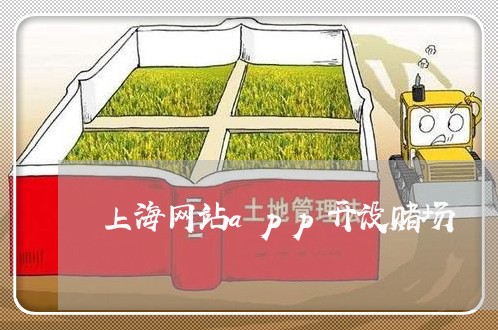 上海网站app开设赌场/2023041148491